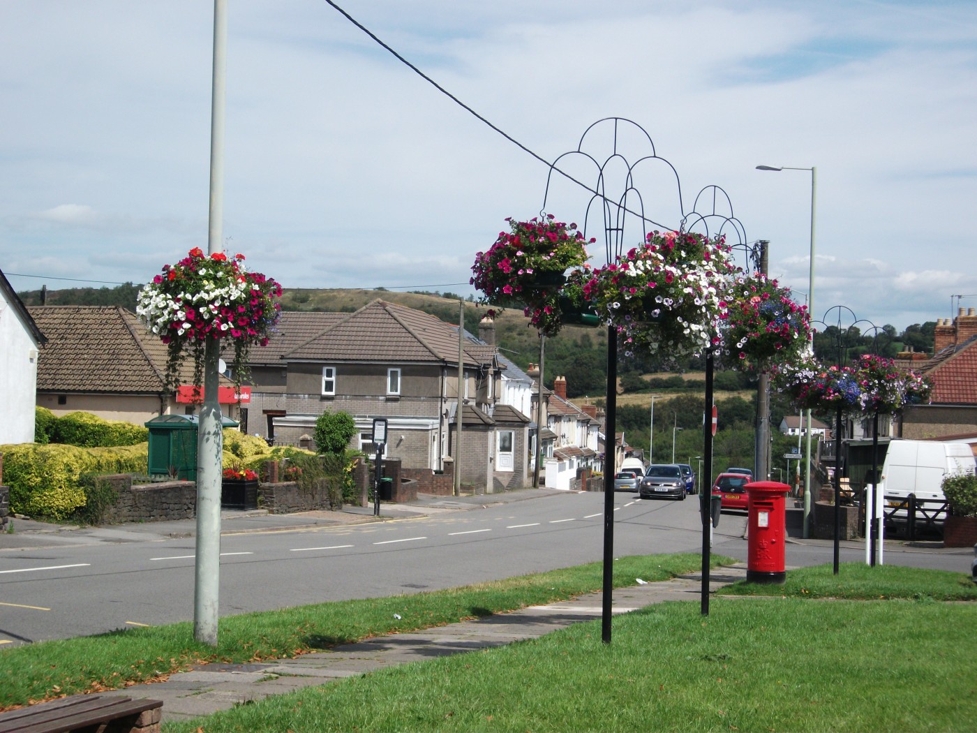 Basket Trees