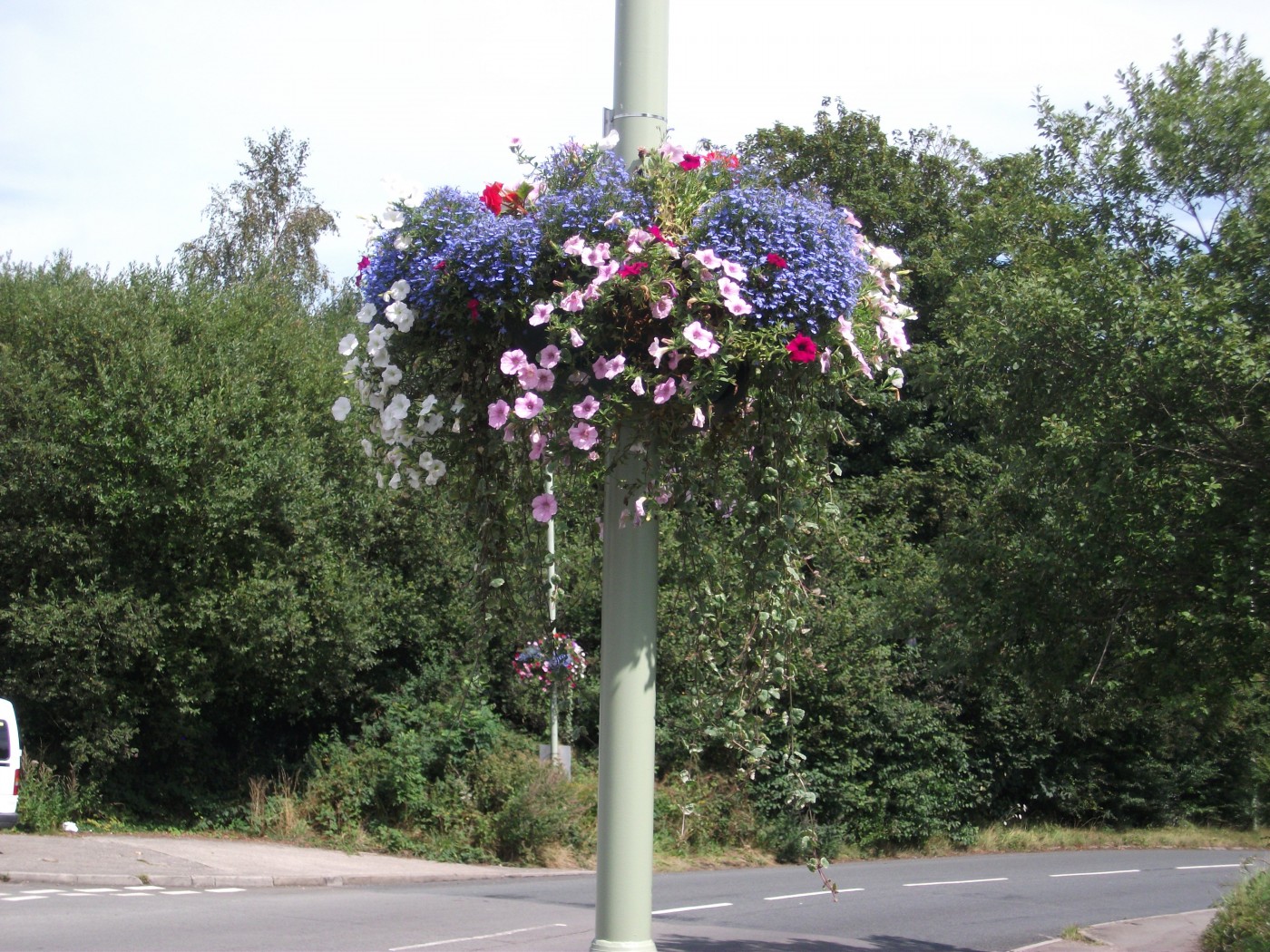 Hanging Basket