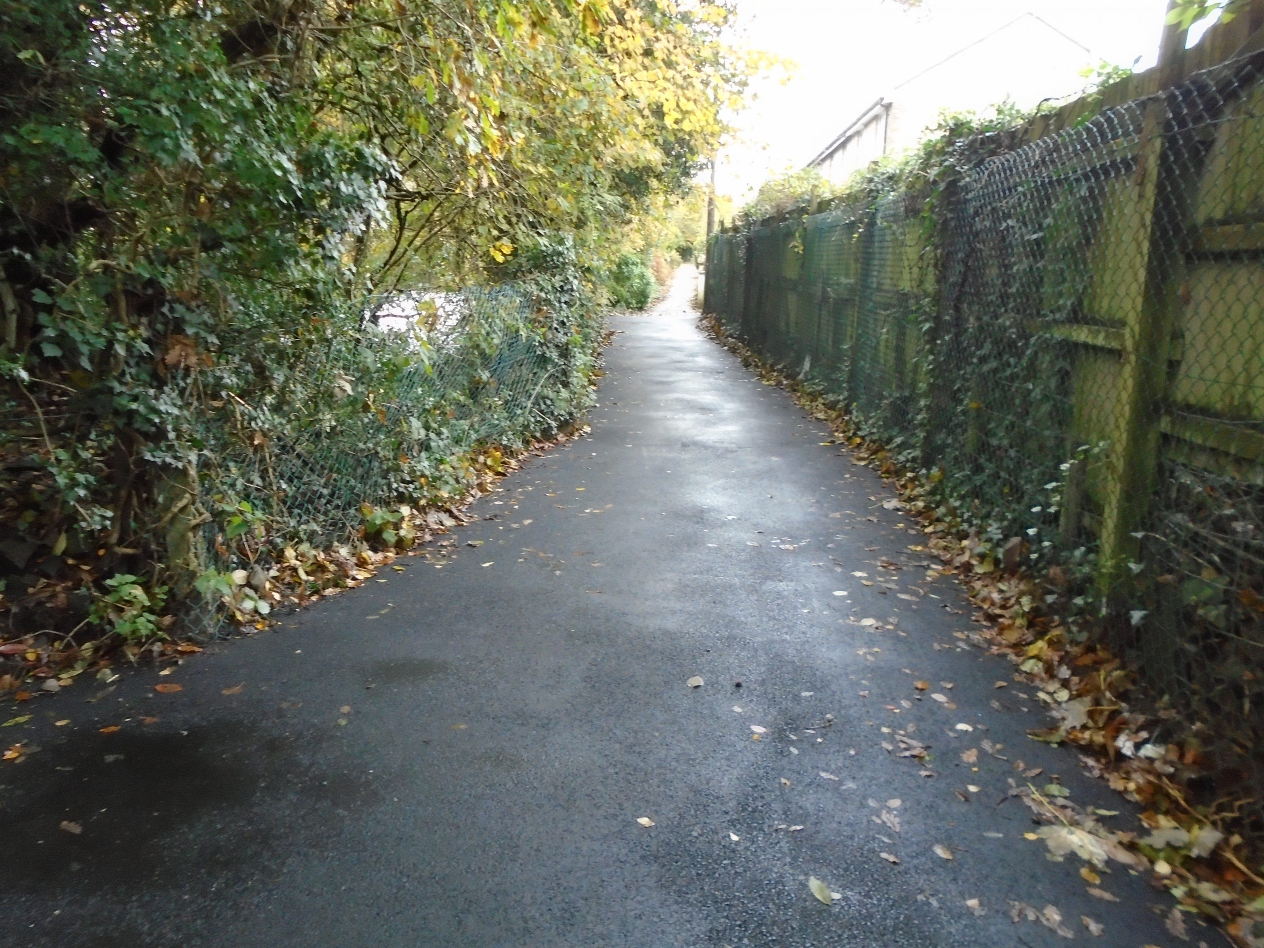 Lanelay Path After