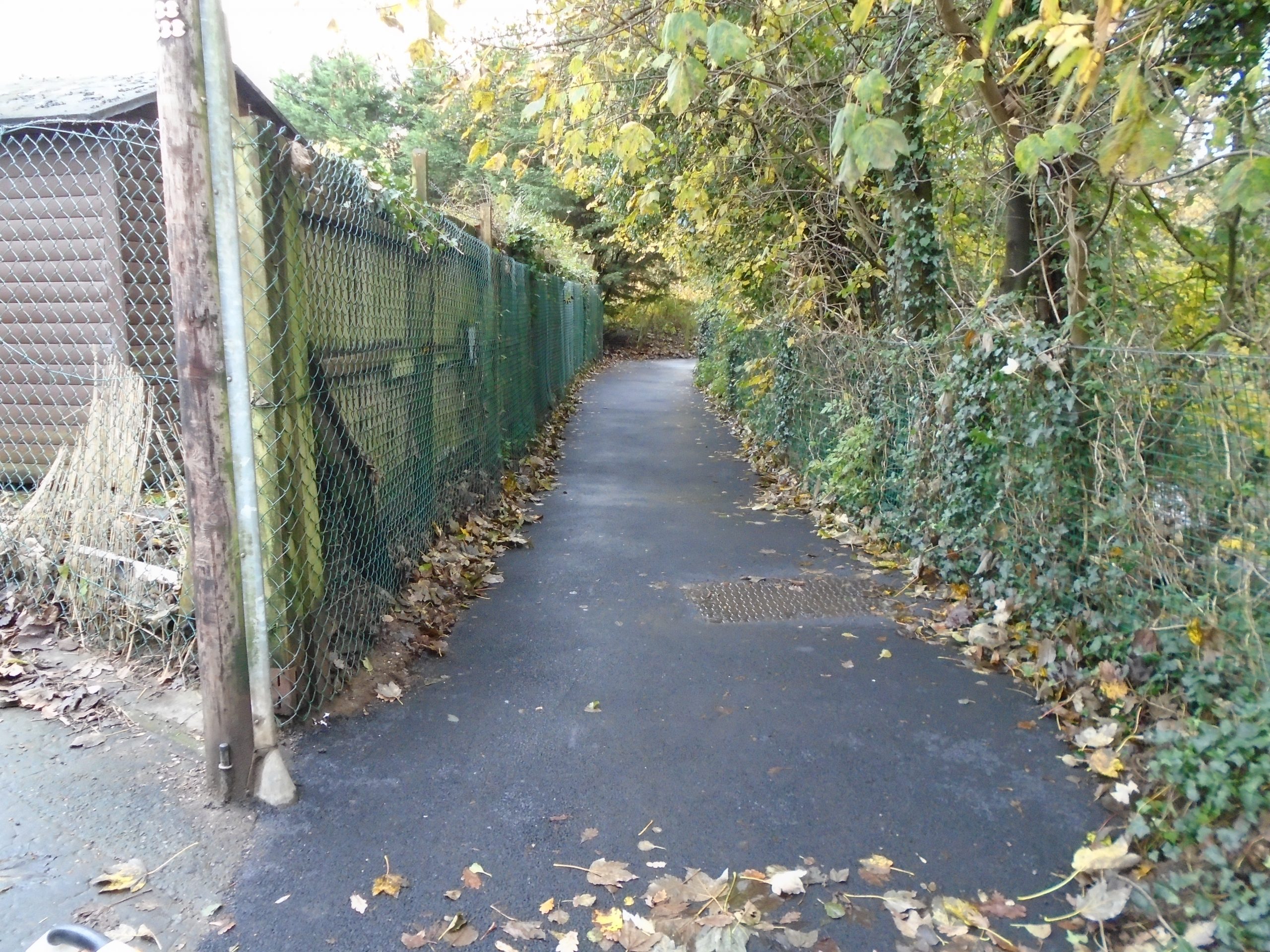 Lanelay Path After