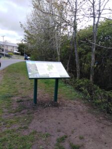 Photograph of the Rhiwsaeson Information Board