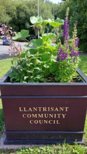 Planter at Codgers Corner