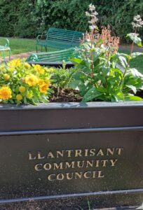 Planter at Codgers Corner