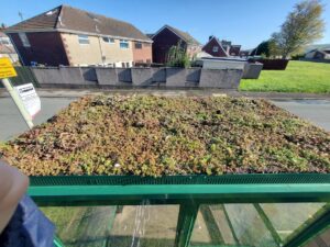 The roof of a bus shelter planted with sedum plants.