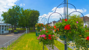 Close up of Hanging Basket
